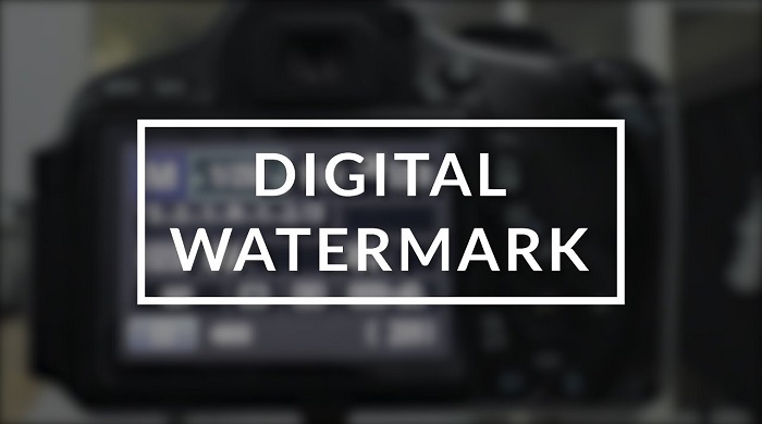 Digital Watermark Market